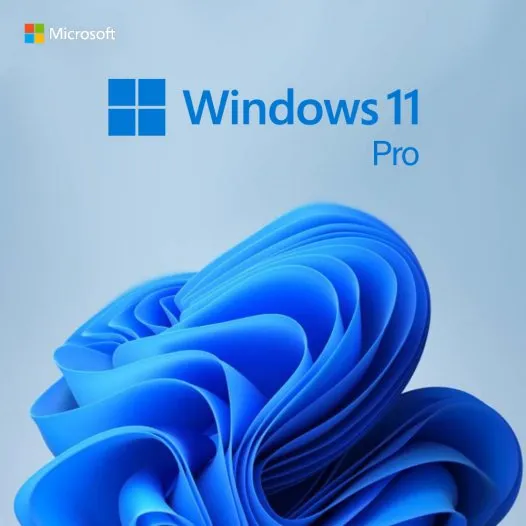 Windows 11 Professional Key - 5 PCs