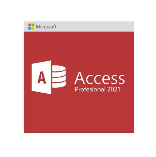 Office 2021 Professional Access Key - 1 PC